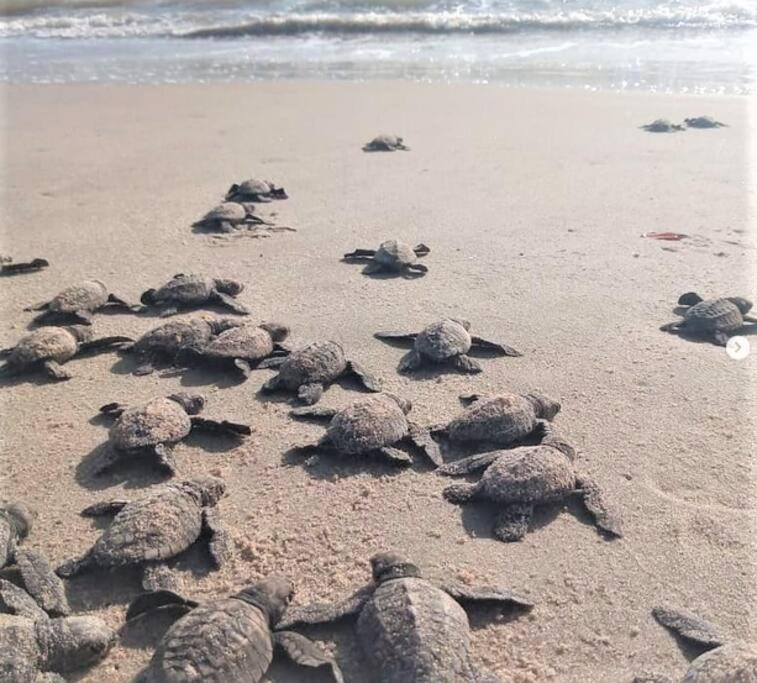 Joao Pessoa, A Dois Passos Do Paraiso, 2 Suites Com A/C, Vista Panoramica Para O Mar Do Bessa, Portaria 24H E 2 Vagas De Garagem Eksteriør bilde